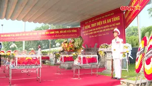 Đi tìm đồng đội - Số 331