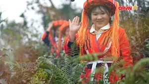 Ngày mới với QPVN 04/6/2026