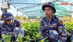 Ngày mới với QPVN 10/6/2026