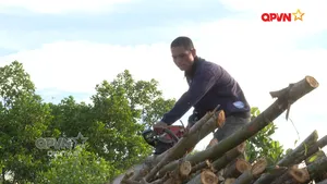 Đi qua những lặng im