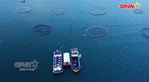 Xây dựng tiềm lực quốc phòng trên biển - Tập 4: Chiến lược xanh giữa trùng khơi