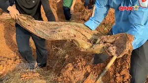 Quy tập và xác định danh tính hài cốt liệt sĩ là nhiệm vụ chính trị đặc biệt quan trọng