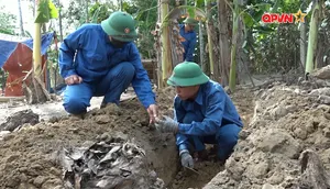 Những nguồn tin mang hy vọng