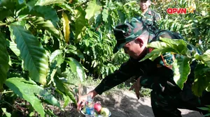 Tìm mộ liệt sĩ từ cuộc gọi giữa đại ngàn