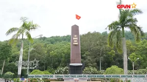 Bản tin tiếng Anh 15h ngày 08/08/2026