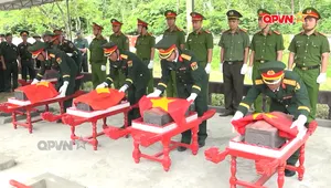 Đi tìm đồng đội - Số 337