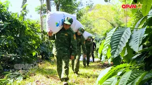 Bản tin Trưa ngày 31/8/2026