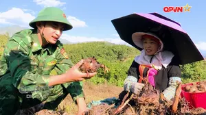Đồng hành phát triển kinh tế vùng biên