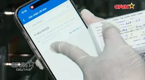 Gìn giữ niềm hy vọng tìm lại tên cho các Liệt sĩ