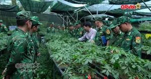 Ngày mới với QPVN 07/9/2026