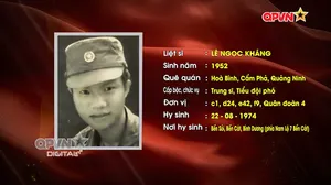 Đi tìm đồng đội - Số 338
