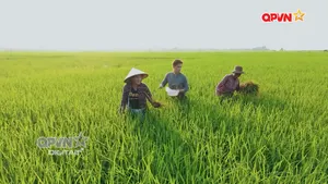 Dấu chân tình thân - Tập 3/16