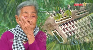 Tổ quốc vẫn nợ những người mẹ
