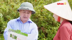 Bom mìn 2026 - Số 9: Quy định phân cấp báo cáo sự cố bom mìn - Phần 2