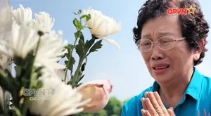 Đi tìm đồng đội - Số 339