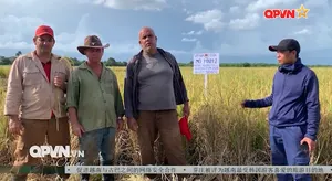 Bản tin tiếng Trung 16h ngày 07/9/2025