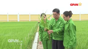 Rubik Cuộc sống ngày 03/9/2025