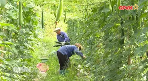 Bản tin Ngày mới ngày 10/7/2025