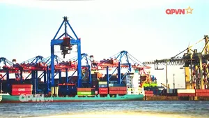 Bản tin Trưa ngày 08/8/2025