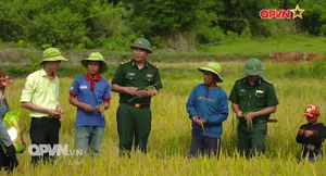 Bản tin Ngày mới ngày 13/7/2025