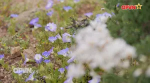 Rubik Cuộc sống ngày 29/9/2025