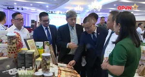 Bản tin tiếng Trung 16h ngày 11/7/2025