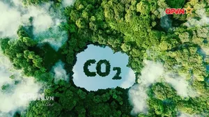 Bản tin Ngày mới ngày 12/9/2025