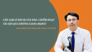 Nhịp cầu pháp luật – Số 132