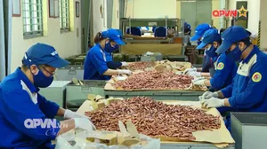 Bước phát triển của Công nghiệp quốc phòng Việt Nam