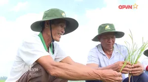 Đồng bằng xanh bền vững