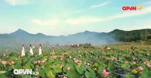 Bản tin tiếng Anh 15h ngày 12/7/2025