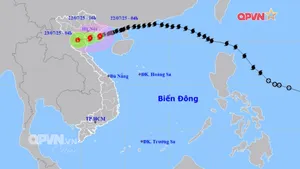 Cập nhật: Bão số 3 đổ bộ Hưng Yên, Ninh Bình