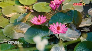 Bản tin Ngày mới ngày 07/9/2025