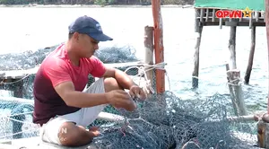 Giấc mơ từ biển