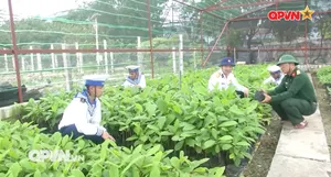 Bộ đội Hải quân giữ biển lành