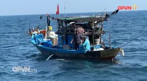 Bản tin Ngày mới ngày 09/9/2025