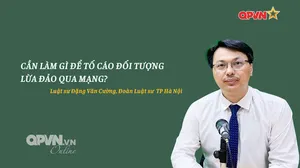 Nhịp cầu pháp luật – Số 135