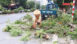 Bản tin Ngày mới ngày 21/7/2025