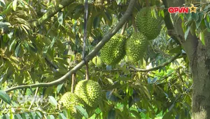 Vươn lên nhờ sinh kế