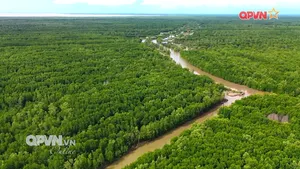 Đồng bằng xanh bền vững