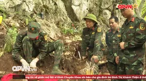 Đi tìm đồng đội - Số 312