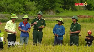 Bản tin Ngày mới ngày 13/8/2025
