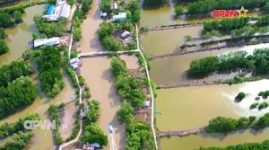 Bản tin Ngày mới ngày 23/9/2025