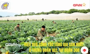 Hiệu quả công tác tăng gia sản xuất ở Trung đoàn 102