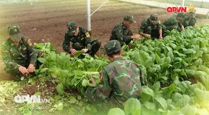 Hiệu quả từ đề án QN21