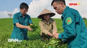 Xe mô tô quân sự - Phát huy sức mạnh Ban chỉ huy quân sự xã