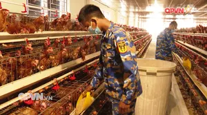 Bản tin Ngày mới ngày 25/7/2025