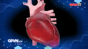 Thay tim nhân tạo bán phần thế hệ thứ 3