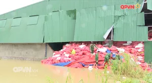 Bản tin Ngày mới ngày 27/8/2025