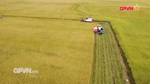 Bản tin Ngày mới ngày 15/7/2025